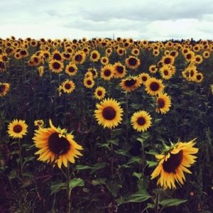 Meet your Posher, Maddie